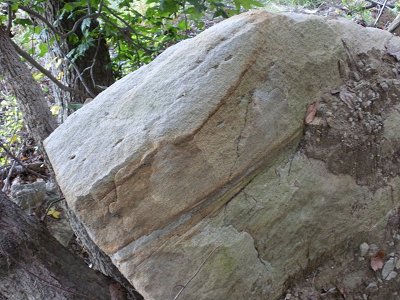 Freestone Point sedimentary layers and soft sandstone at Leesylvania State Park
