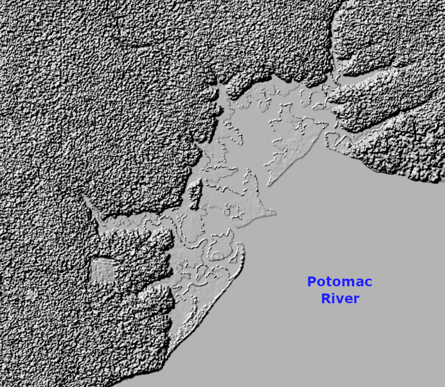 LIDAR reveals the topography of Mason Neck's Great Marsh, on the edge of the Potomac River