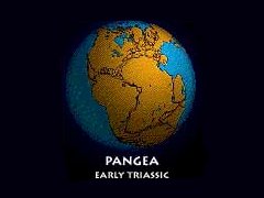 history of pangea