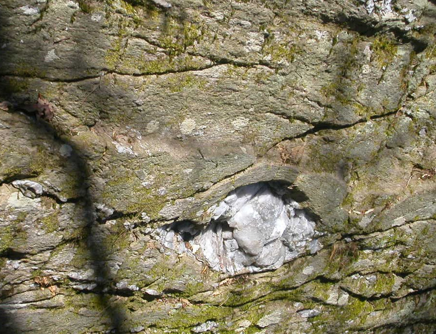 quartz blob in rocks on edge of Scotts Run, west of American Legion Bridge