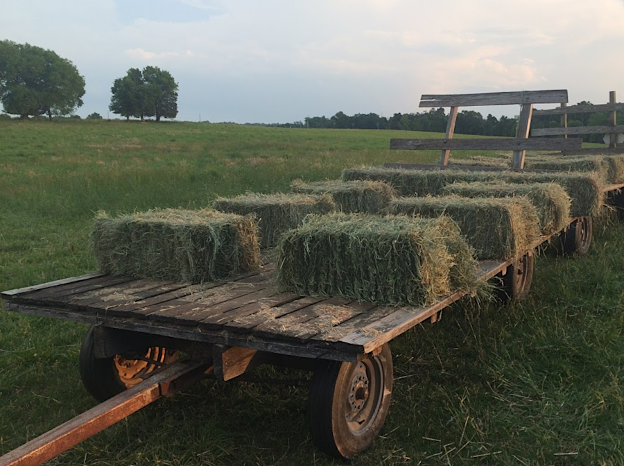the hay lease operator near Portici loaded square bales on a wagon