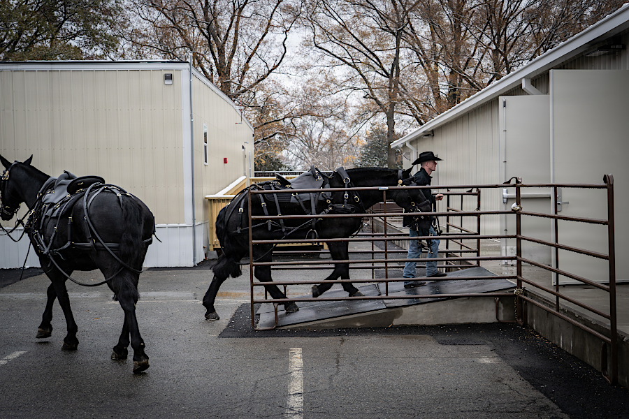 interim stables were built in 2025 for the horses used by the Caisson Deetachment of The Old Guard