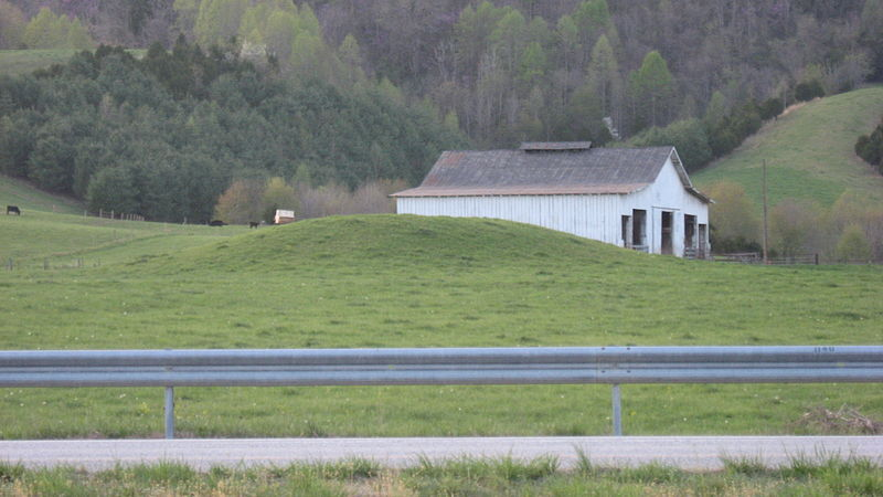 Ely Mound in Lee County