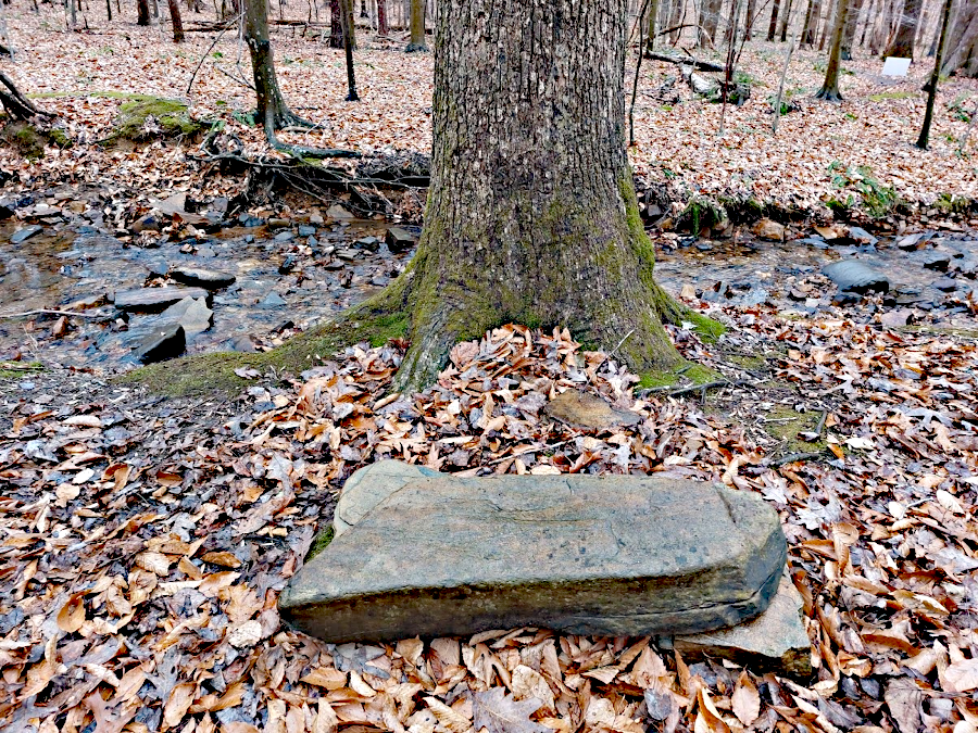 Kitty RIP - pet memorials in the woods can be as elaborate as at sites for human burials
