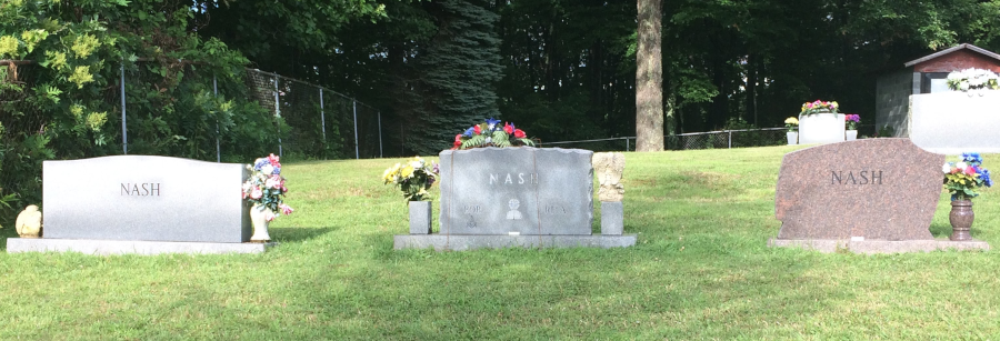 the Nash Cemetery between Wise and Coeburn is the last resting place for many Melungeon families