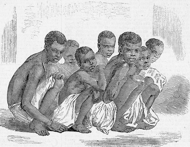 the first people to be enslaved in Virginia were imported from Africa, often by way of Caribbean islands such as Barbados