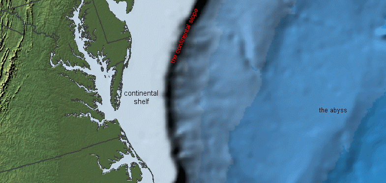 bathymetry showing continental shelf off Virginia coast