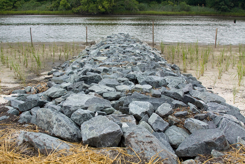 restoring wetlands along Scuffletown Creek, a tributary of the Elizabeth River, required importing metamorphic rock for a barrier on the Coastal Plain