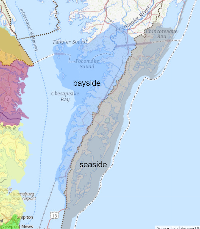the watershed divide in the middle of the Eastern Shore defines bayside and seaside watersheds