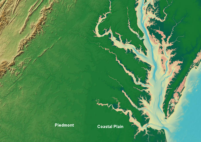 the Fall Line separates the Coastal Plain (darker green...) and the Piedmont