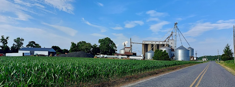 grain storage facilites are a common sight on the Northern Neck, where winter wheat is rotated with corn and soybeans