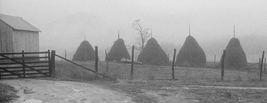 haystacks in the Shenandoah Valley, 1941