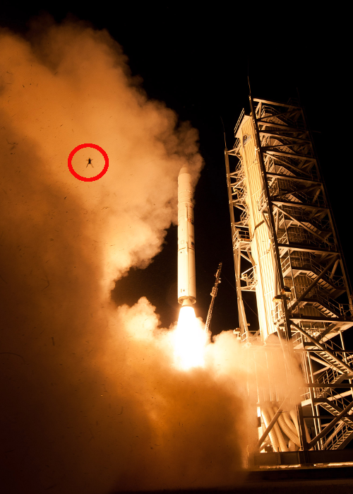 LADEE launch disturbed a local frog, briefly...
