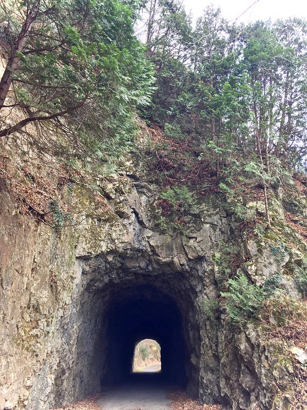 Austinville Tunnel, constructed downstream of Austinville by the New River Plateau Railroad Company