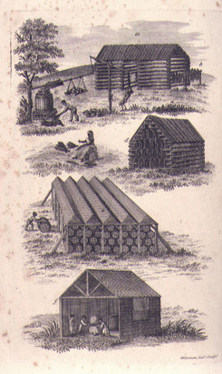 tobacco was dried and prized into hosgsheads at the farm (top), then hauled to tobacco warehouses and inspected (bottom)