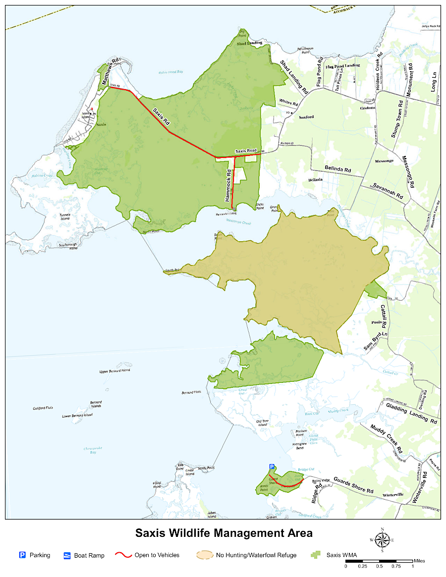 the Michael Marsh section of Saxis Wildlife Management Area is closed to hunting