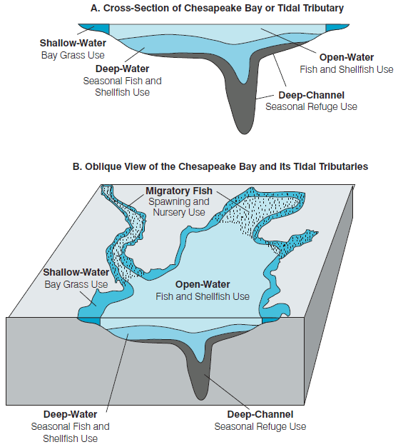 Conceptual illustration of the five Chesapeake Bay tidal water designated use zones