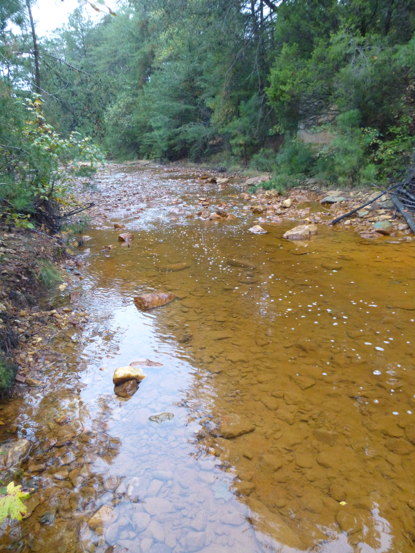 Contrary Creek remains highly acidic, polluted by pyrite mining in the 19th and 20th centuries (Louisa County)