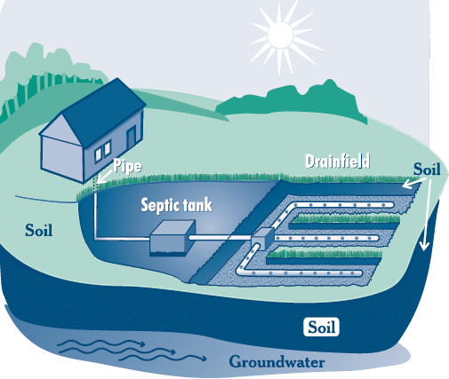 septic systems in rural areas rely upon bacteria to purify wastewater