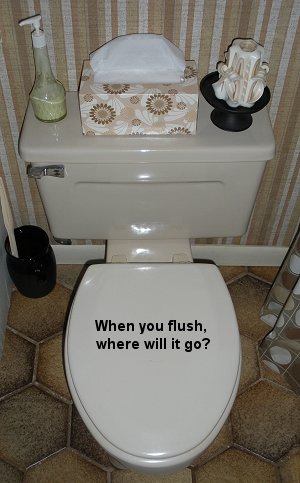 when you flush, where will it go?