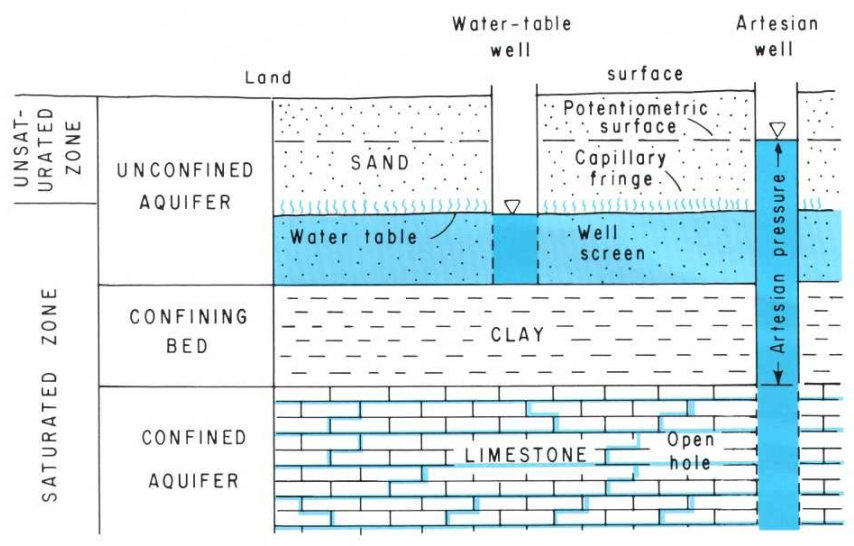 in artesian wells which penetrate confining aquifers, water under pressure will rise higher than the water table