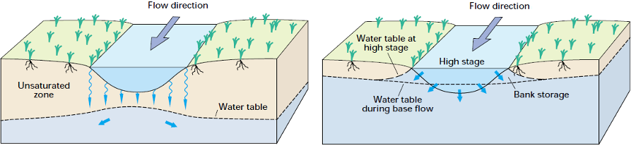 water flowing downstream may seep into nearby sediments and move down to the local water table, or may raise the height of the water table next to the streambed