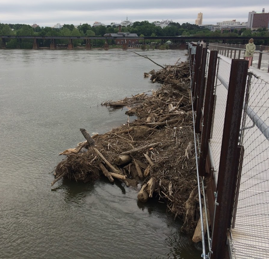 floods bring large woody debris downstream, where it has piled up at the T. Pot Bridge in Richmond