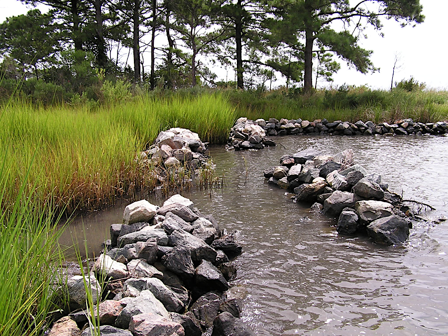 leaving gaps between rock barriers permits plankton, crabs and fish to access shoreline habitat
