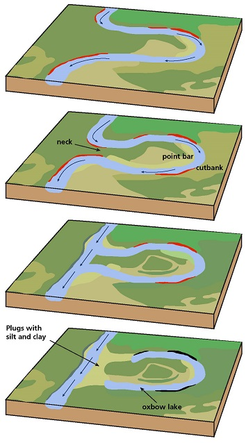oxbows form naturally when a river erodes a new channel that isolates an earlier meander