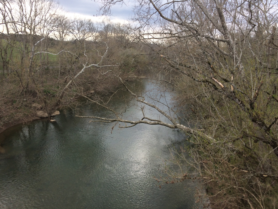 Powell River in Lee County, looking downstream from the swinging bridge on Swinging Bridge Road