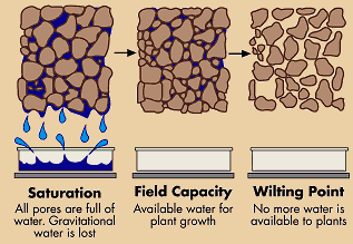plants rely upon water trapped between soil particles underground