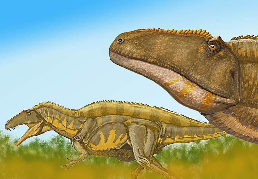 Acrocanthosaurus bones have been discovered in Maryland, but just footprints of that dinosaur in Virginia