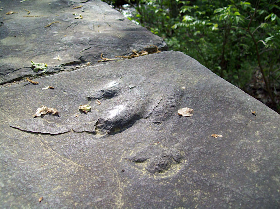 dinosaur tracks from a Triassic Basin quarry are easy to see on the South Confederate Avenue bridge at Gettysburg National Military Park