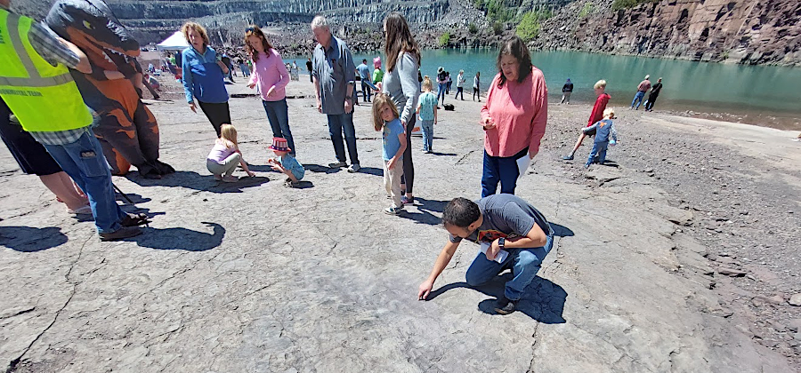 outlined footprints and rubbing the rib impressions of a phytosaur belly at the Culpeper Quarry on Dino Day (May 1, 2026)